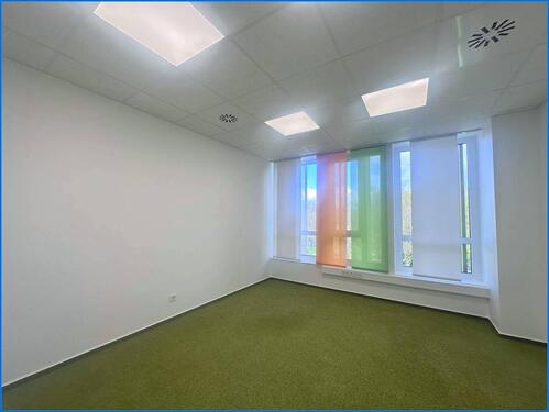 Foto - andere in Radolfzell am Bodensee