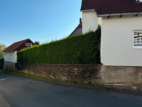 Foto - Einfamilienhaus in Polle zum Kaufen