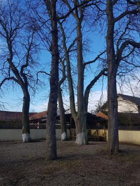 Foto - Etagenwohnung in Kühbach zur Miete