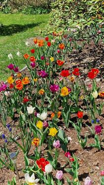 Foto - 10 Zimmer Einfamilienhaus in Coburg