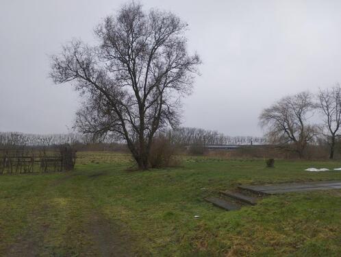 Foto - 3 Zimmer Etagenwohnung zur Miete in Ferdinandshof