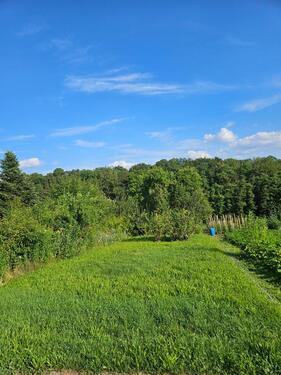 Foto - Grundstück in Schechingen zur Miete