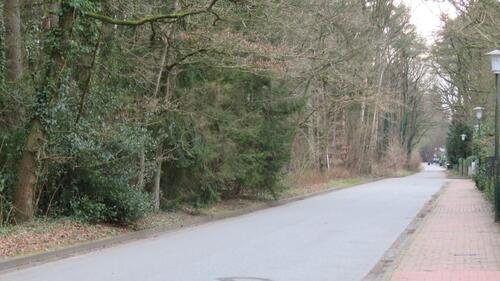 Foto - Wald Grundstück ca. 6000 m². Gute Lage. Wohnortsnähe.