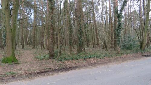 Foto - Einfamilienhaus zum Kaufen in Pinneberg