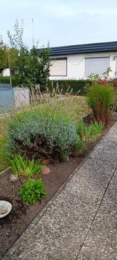 Foto - Kleingarten - 3.500,00&nbsp;EUR Kaltmiete, ca.&nbsp; 0,00&nbsp;m&sup2;