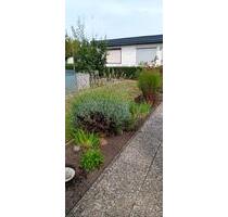 Kleingarten - 3.500,00&nbsp;EUR Kaltmiete, ca.&nbsp; 0,00&nbsp;m&sup2; in Salzgitter (PLZ: 38228) Ortschaft Nord