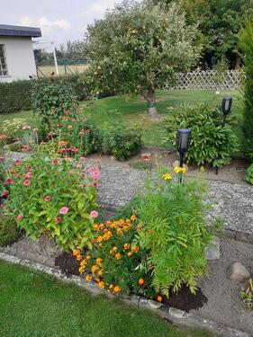 Foto - Grundst&uuml;ck in Salzgitter