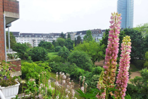 Foto - Etagenwohnung in Düsseldorf zum Kaufen