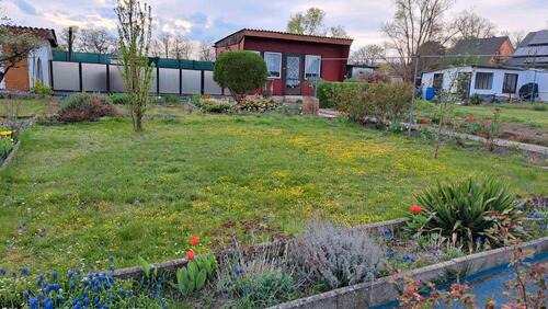 Foto - Grundst&uuml;ck in Aschersleben zur Miete