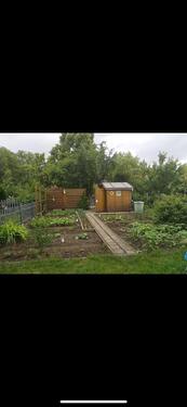 Foto - Gepflegter Pachtgarten in Magdeburg Nähe AMO