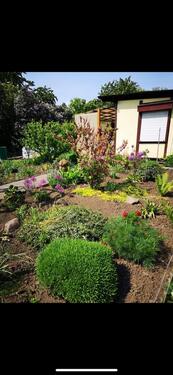 Foto - Grundst&uuml;ck in Magdeburg zur Miete