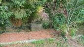 Foto - Einfamilienhaus zum Kaufen in Mutterstadt