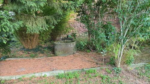 Foto - Einfamilienhaus zum Kaufen in Mutterstadt