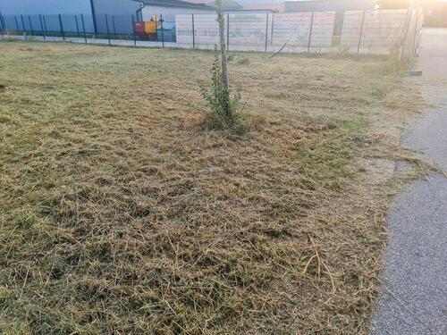 Foto - andere in Barbing