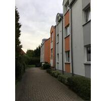 Erdgeschosswohnung mit Einbauküche - Lübbecke