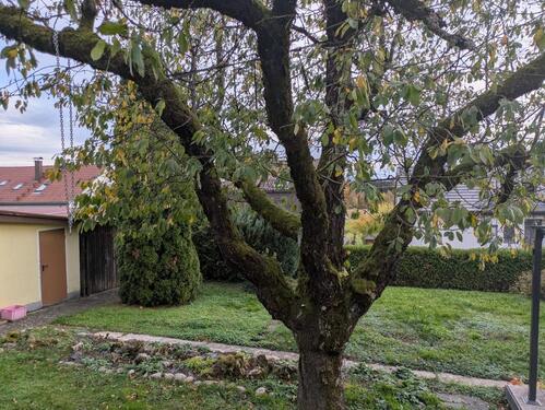 Foto - 7 Zimmer Einfamilienhaus zum Kaufen in Schlierbach