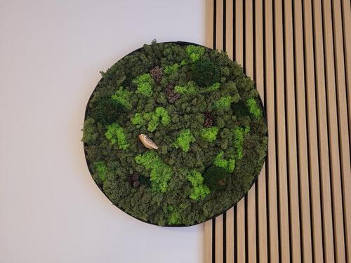 Foto - andere in Plau am See