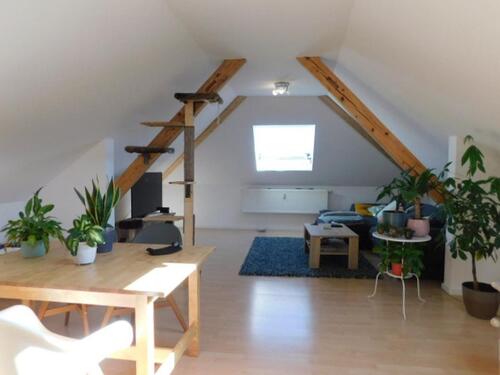 Foto - Charmante, zentral gelegene 3 ZKB mit EBK und Tageslichtbad in Konz-Könen