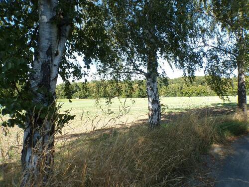 Foto - 2 Zimmer Bungalow in Leipzig