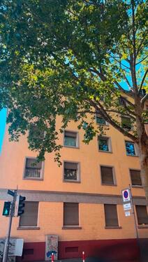 Foto - 30 Zimmer Mehrfamilienhaus, Wohnhaus zum Kaufen in Ludwigshafen am Rhein