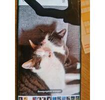 WG Zimmer in Pfronten Ried ab sofort