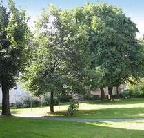 2-Zimmer-Wohnung in Iserlohn Nußberg