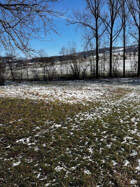 Foto - Bauernhaus, Landhaus in Hilders zum Kaufen