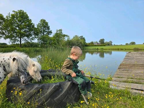 Foto - andere zur Miete in Schönwalde am Bungsberg