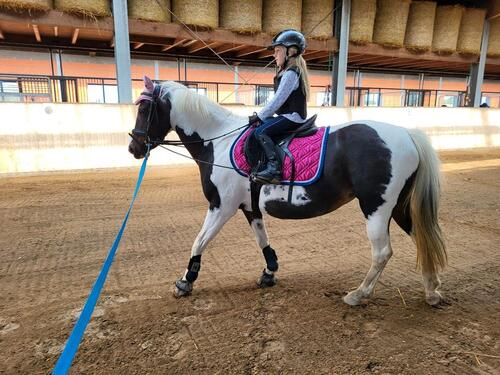 Foto - andere in Schönwalde am Bungsberg