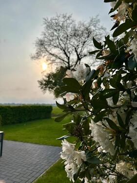 Foto - andere in Wiefelstede zur Miete