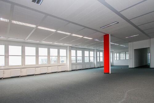 Foto - andere in Ratingen