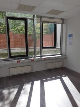 Foto - andere in Halle (Saale)