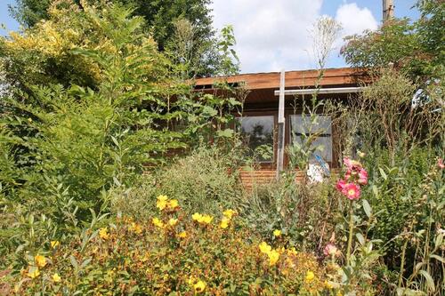 Foto - Kleingarten in sonniger Lage in Greiz-Obergrochlitz