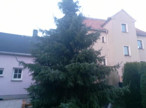 Foto - Hausverkauf Reihenhaus Verkaufe Haus Verkauf ab 2026