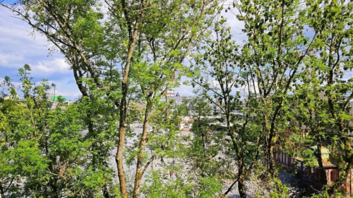 Foto - Etagenwohnung in Bad Homburg vor der Höhe zur Miete