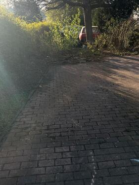 Foto - Stellplatz für Auto, Anhänger oder kleineres Wohnmobil
