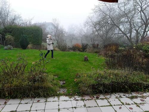 Foto - 