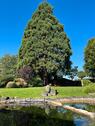 Foto - Haus mit Garten - 5.000.000,00 EUR Kaufpreis,