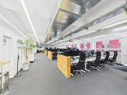 Foto - andere in Karlsruhe