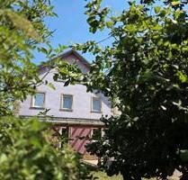 Wohnhaus mit großen Nebengebäuden - Untermerzbach