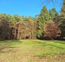 Weide Moorweide von privat zu verpachten, ca. 3200qm ab sofort - Gnarrenburg