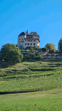 Foto - Traum(ferien)Wohnung 50 km von GENF