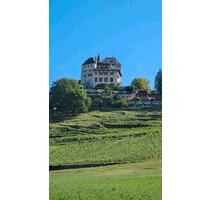 Traum(ferien)Wohnung 50 km von GENF - Wiesbaden Bierstadt