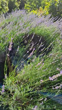 Foto - Etagenwohnung in Wiesbaden