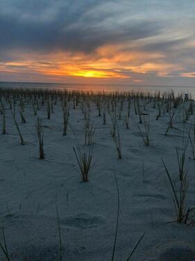 Foto - andere zur Miete in Löbnitz