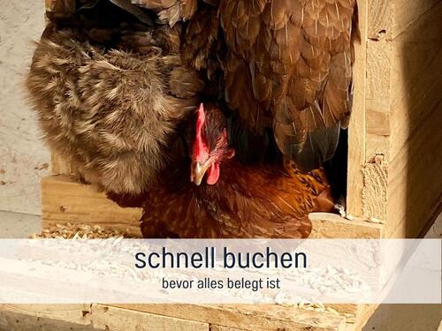 Foto - Ferienwohnung Osterferien Urlaub 30.03-06.04.26 Angebot