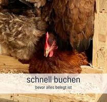 Ferienwohnung Osterferien Urlaub 30.03-06.04.26 Angebot - Sörup