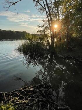Foto - Haus zu vermieten, großer Garten, See und Wald ganz nah