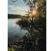 Haus zu vermieten, großer Garten, See und Wald ganz nah - Schwerin Friedrichsthal