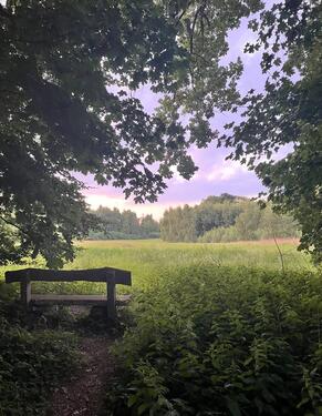 Foto - 3 Zimmer Einfamilienhaus in Schwerin
